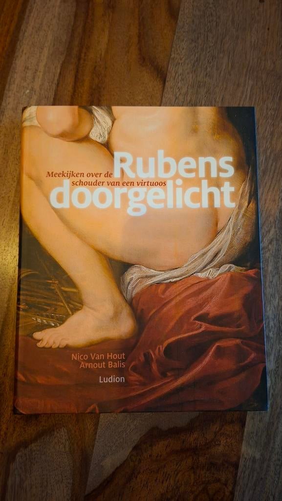 Nico Hout - Rubens doorgelicht, Livres, Catalogues & Dépliants, Enlèvement ou Envoi