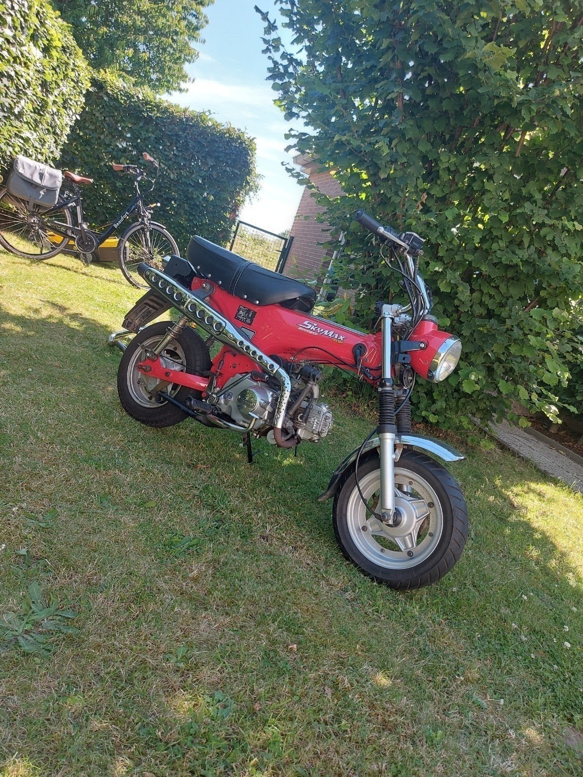 Dax 50cc : 1e eigenaar: B-klasse, Enlèvement ou Envoi