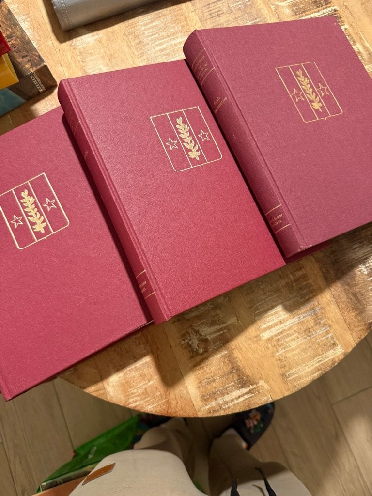 Geschiedenis van Zwijndrecht en Burcht. SET 3 delen compleet, Comme neuf, Dirk Verelst, Enlèvement ou Envoi, 17e et 18e siècles