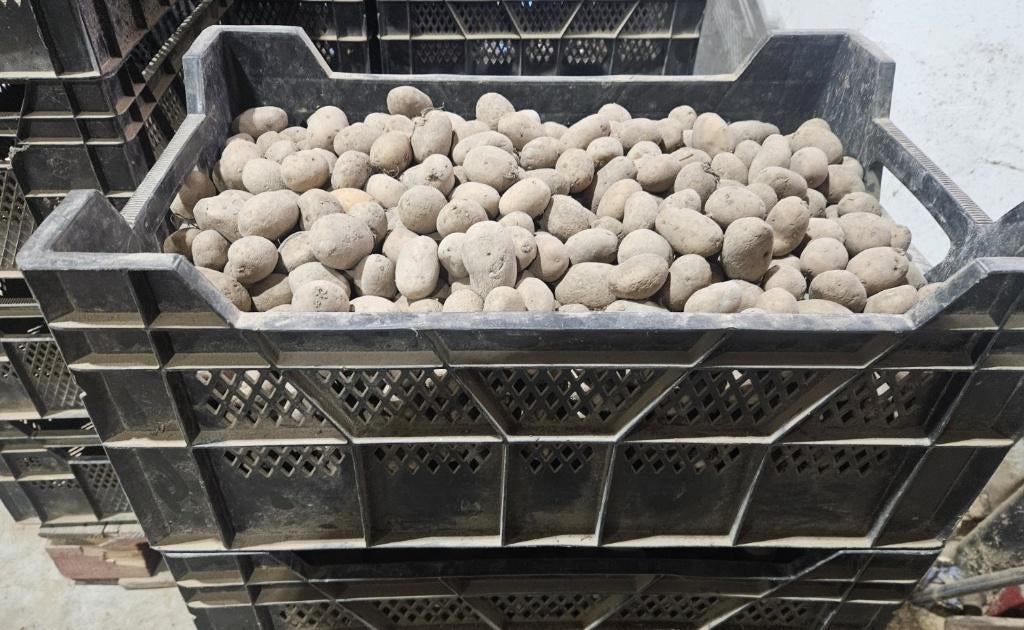 pootgoed Challengers, Ophalen