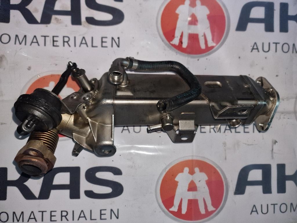 EGR-koeler BMW 3-Serie 320d 2.0 16V 2014, Auto-onderdelen, Ophalen of Verzenden, BMW