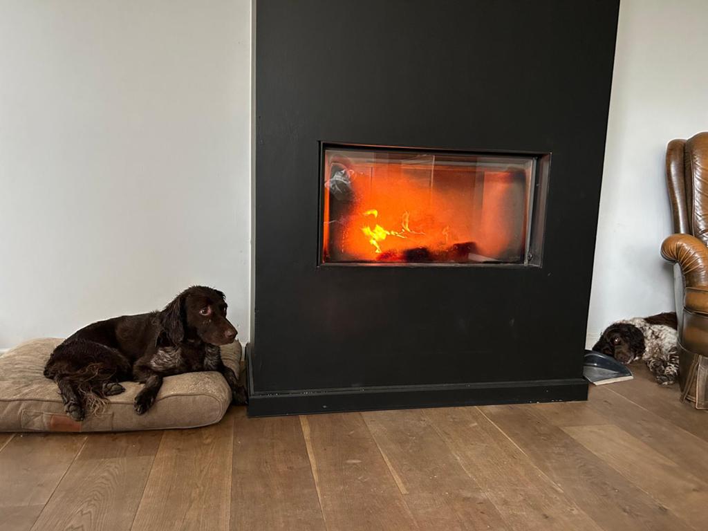Kal Fire haard, Maison & Meubles, Cheminées, Comme neuf, Enlèvement