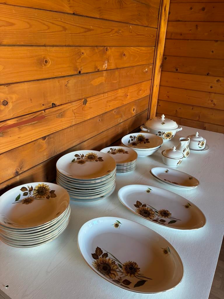 Czechoslovakia - servies set, Ophalen of Verzenden