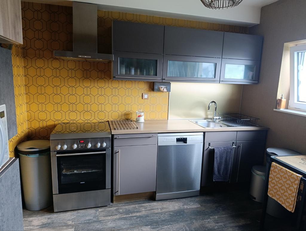 Cuisine Ixina grise avec électroménagers, Synthétique, Gris, Enlèvement, Cuisine à mur double