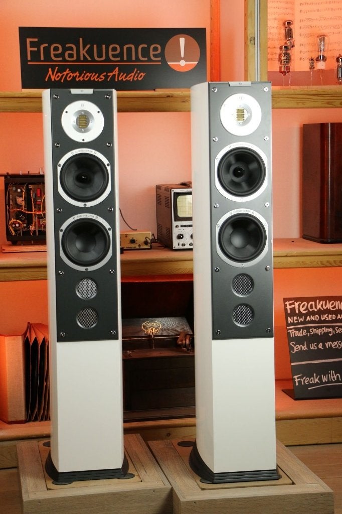 Audiovector SR6 Avantgarde MKII TRADE.INRUIL, Ophalen of Verzenden, Zo goed als nieuw, Vloerstaande luidspreker