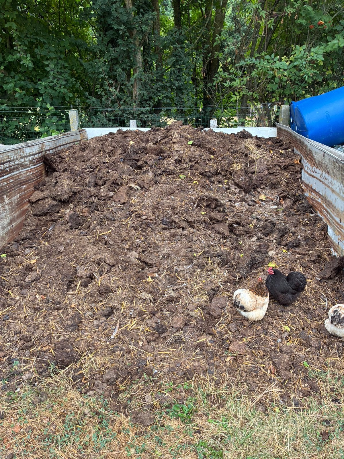 Gratis geteerde paardenmest, Tuin en Terras, Ophalen, Mest