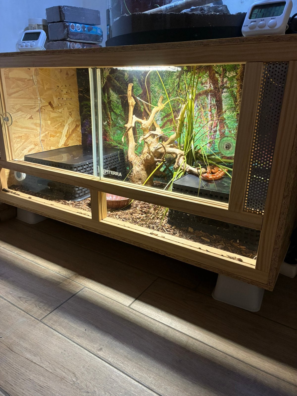 Serpent des blés avec terrarium équipé, Enlèvement, Comme neuf