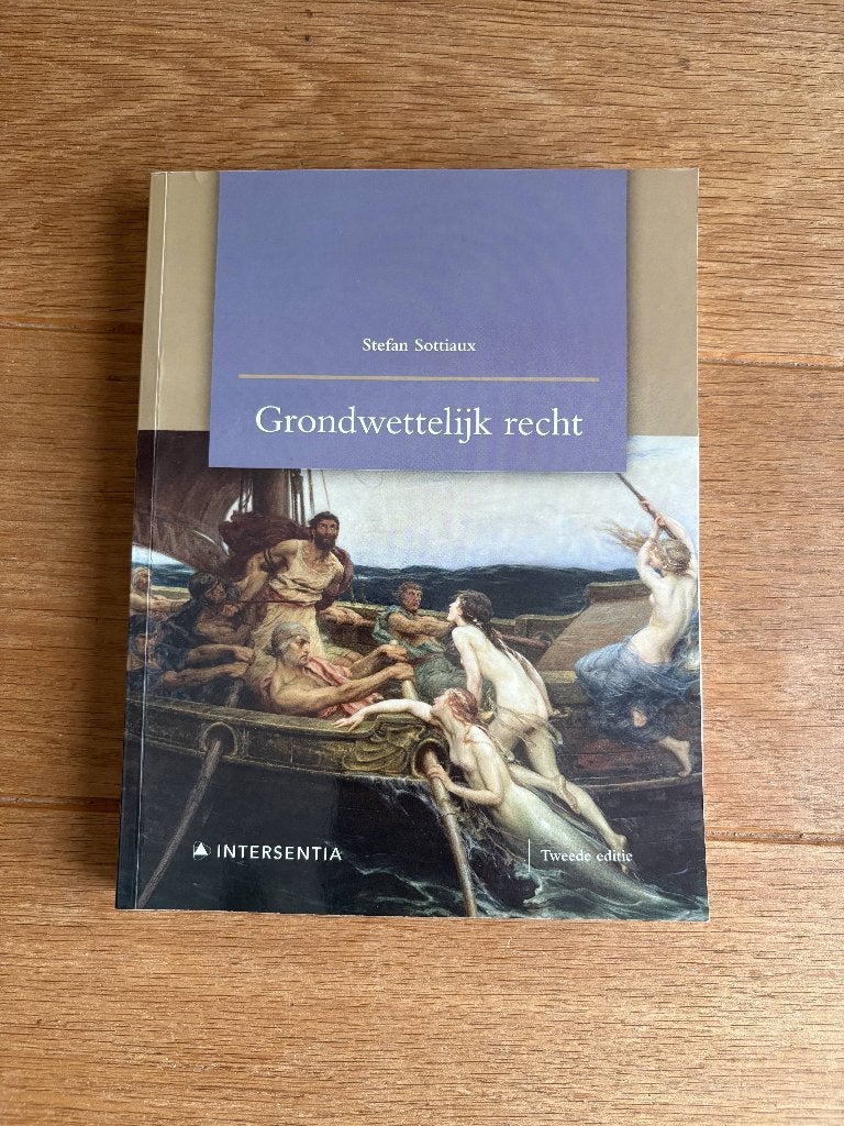 Grondwettelijk recht (tweede editie), Hoger Onderwijs, Ophalen of Verzenden, Zo goed als nieuw, Stefan Sottiaux