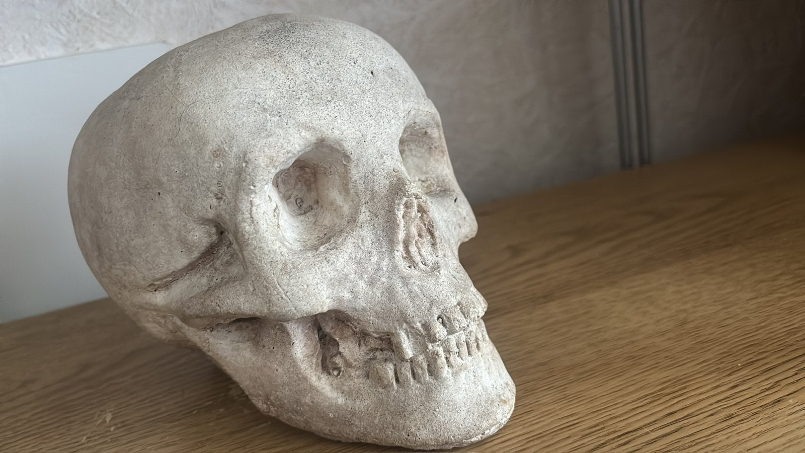 Mal in steen van echte doodskop, Ophalen