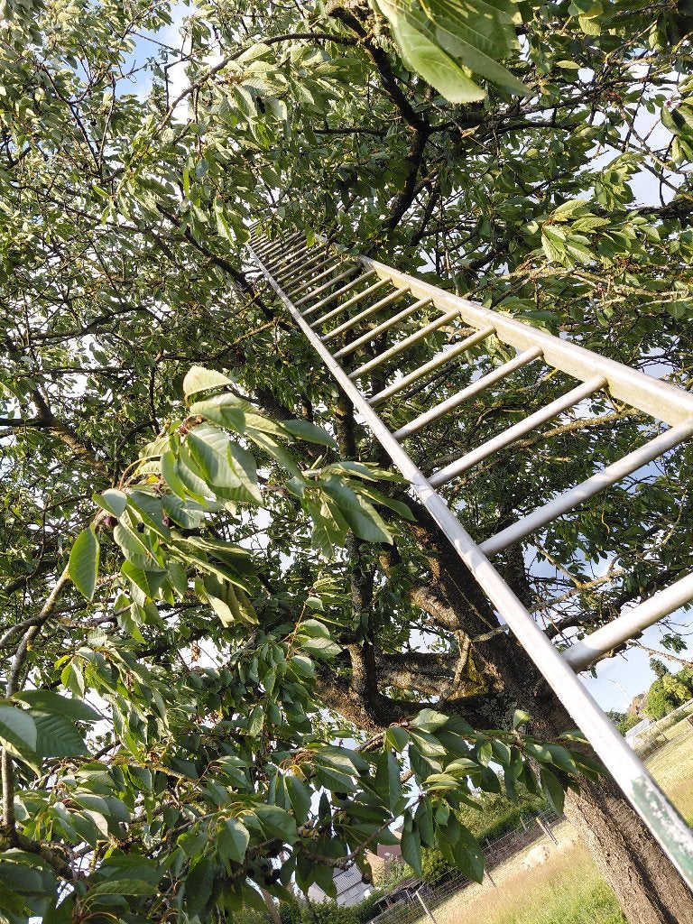 Fruitladder pluklader aluminum in een geheel 8meter +_, Doe-het-zelf en Bouw, Ladders en Trappen, Ophalen, Gebruikt, Ladder, 4 meter of meer