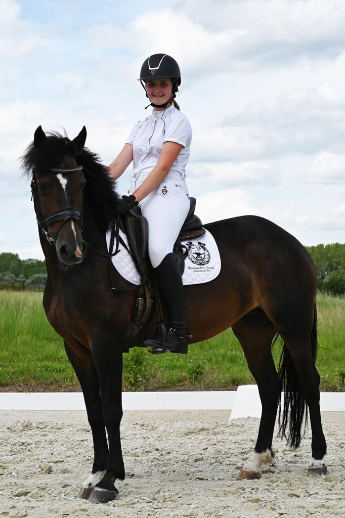 Zadelmak maken & doorrijden van paarden en pony’s, Animaux & Accessoires, Animaux Autre, Femelle, Juillet