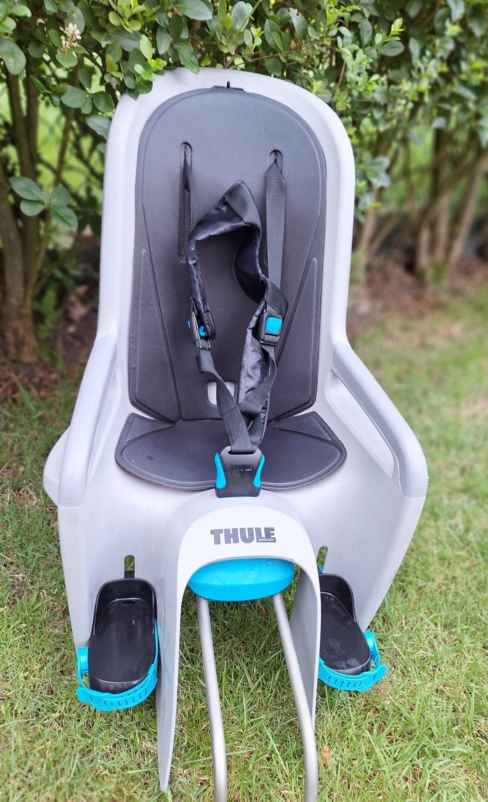 Thule RideAlong Fietsstoeltje (Compleet), Fietsen en Brommers, Fietsaccessoires | Fietsstoeltjes, Ophalen