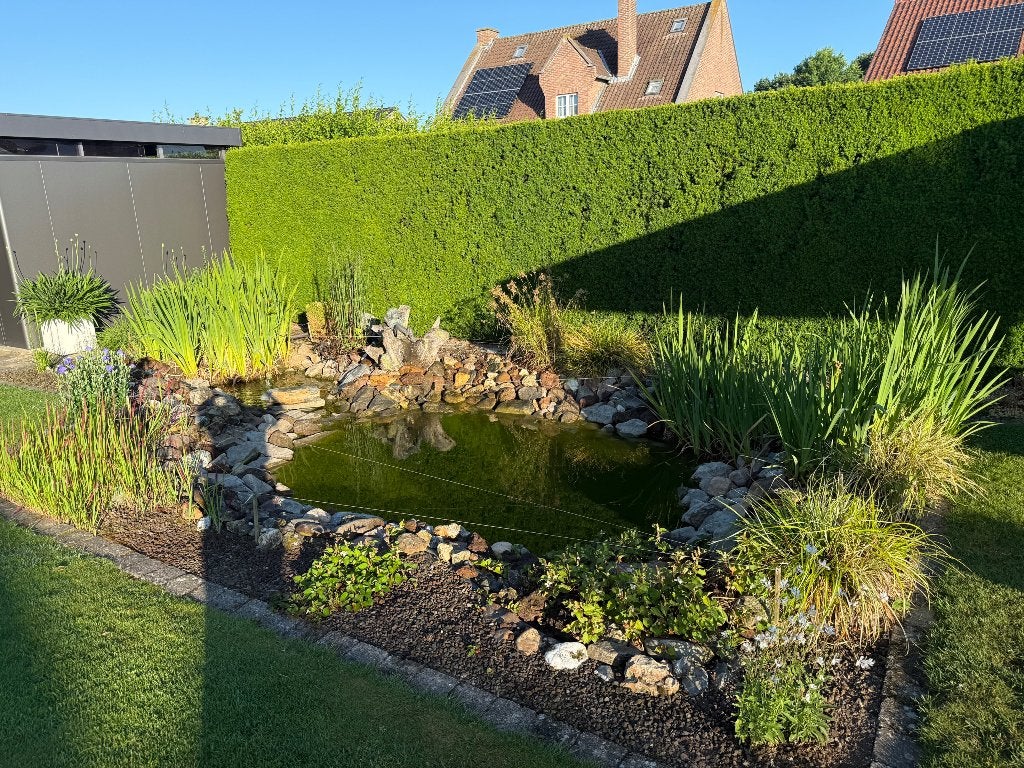 Vijver, Tuin en Terras, Ophalen