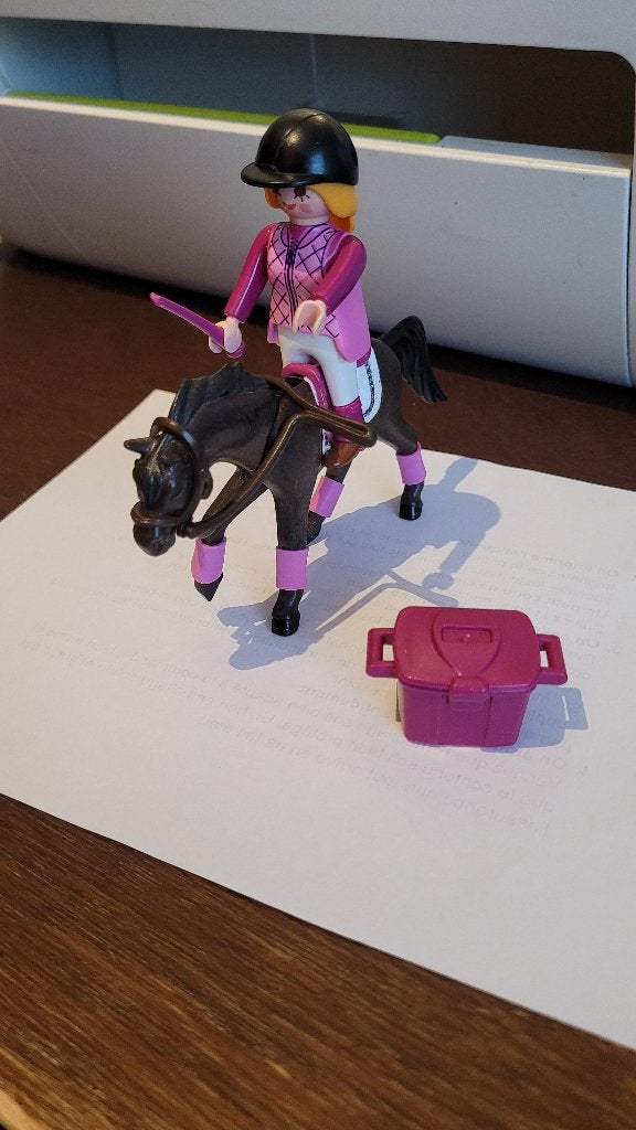 playmobil :cheval Ebony + cavalière, Enlèvement ou Envoi, Utilisé, Pièces détachées, Figurines