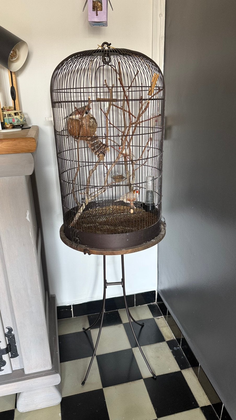 Vogelkooi & zebravinken, Dieren en Toebehoren, Ophalen, Gebruikt, Metaal, Vogelkooi