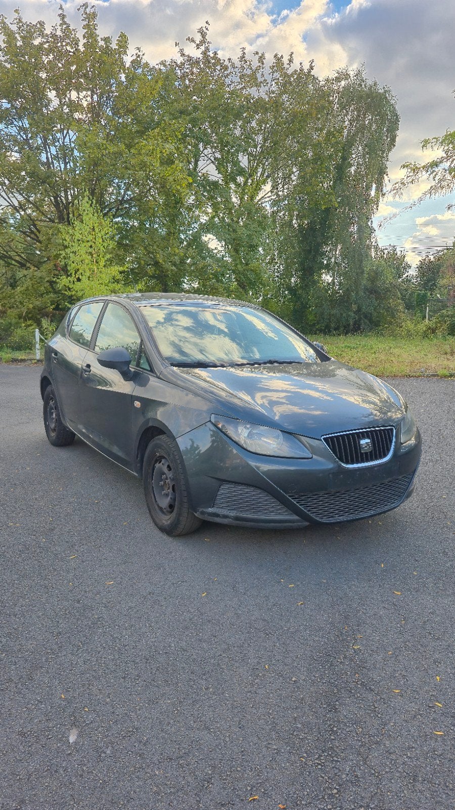 seat ibiza 1.2 tdi, Achat, Boîte manuelle, Ibiza, Diesel
