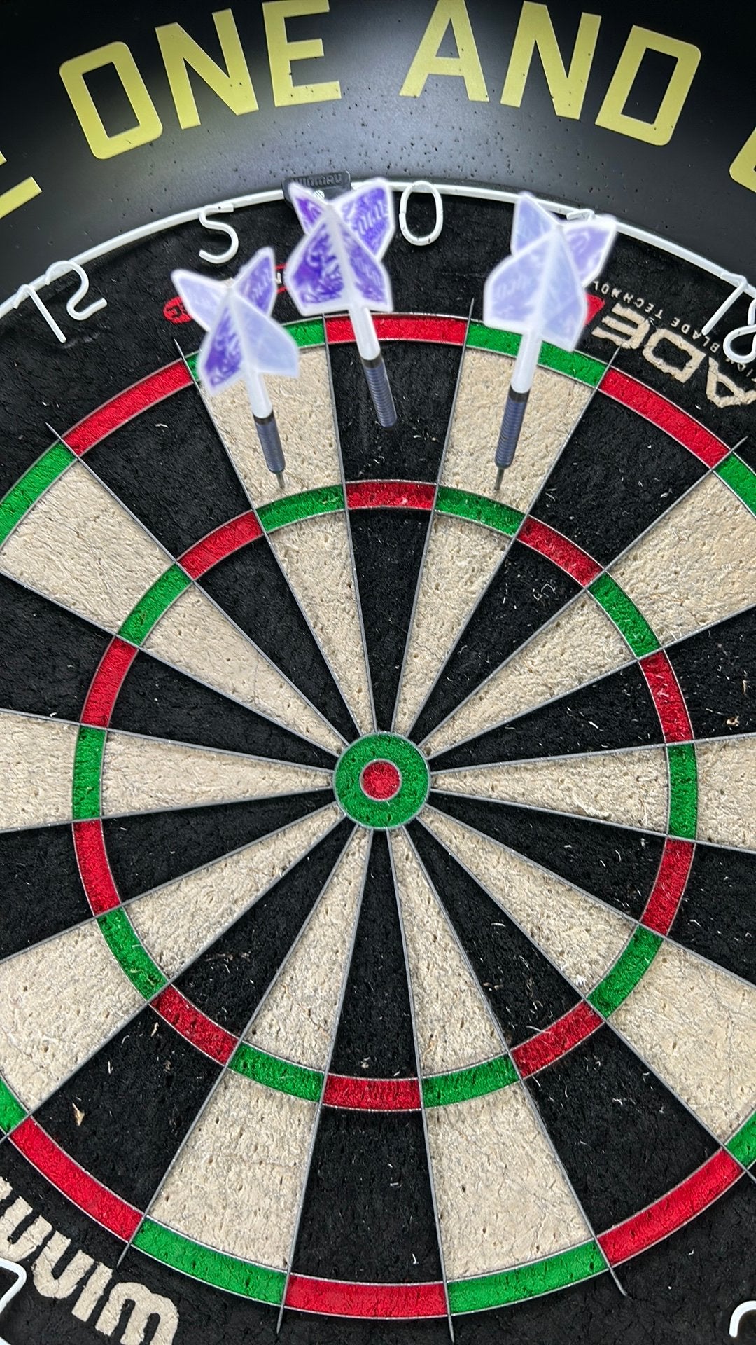Josh rock darts mission 22 g, Ophalen of Verzenden, Zo goed als nieuw, Pijlen