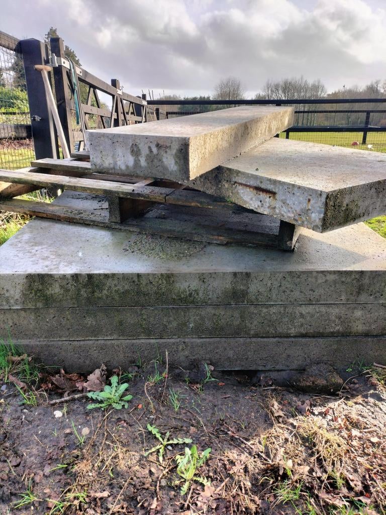 Schellevis oud Hollandse betontegels restanten, Tuin en Terras, Ophalen