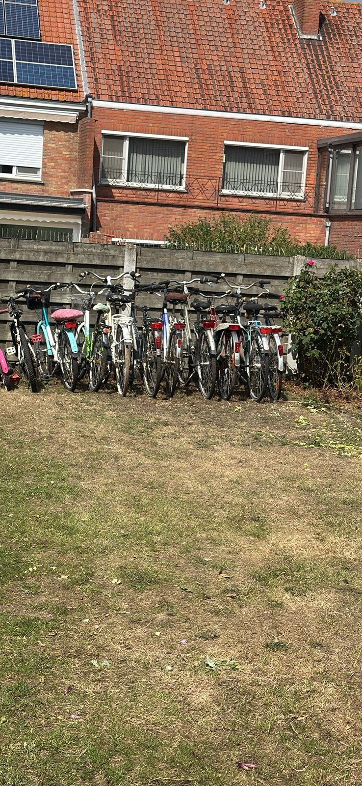 Bikes, Ophalen of Verzenden, Zo goed als nieuw