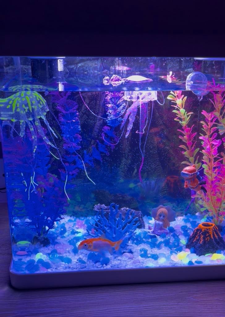 Aquarium, Ophalen, Zo goed als nieuw