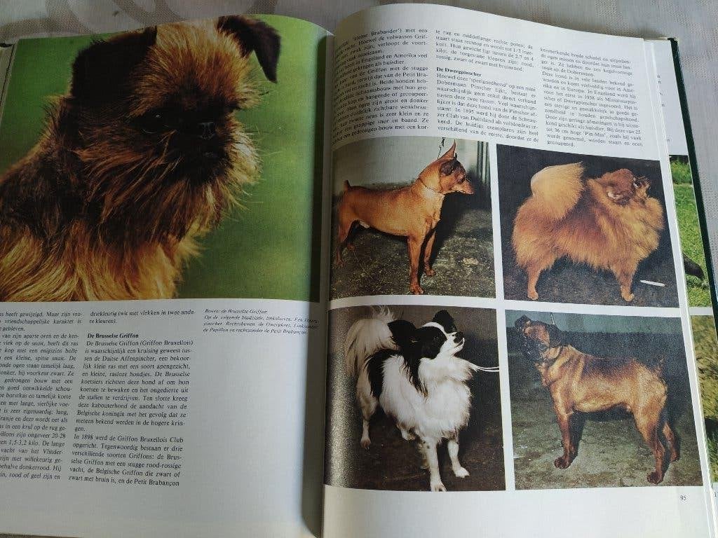 het mooiste hondenboek+bekende hondenrassen+de hond, Boeken, Ophalen of Verzenden, Gelezen, Honden
