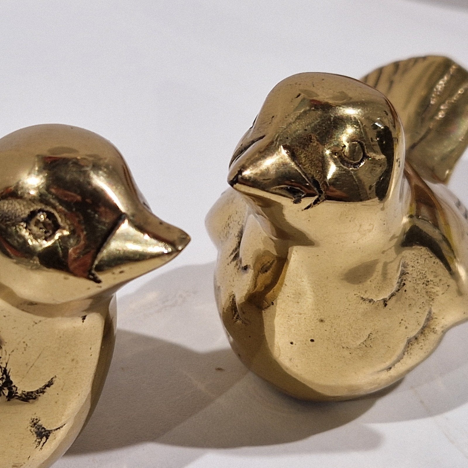 mooi groot  koppel koper vogels ,  mussen, Ophalen of Verzenden, Koper