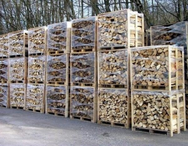 Bois de chauffage, Enlèvement ou Envoi, Neuf, Ventilateur et Extracteur