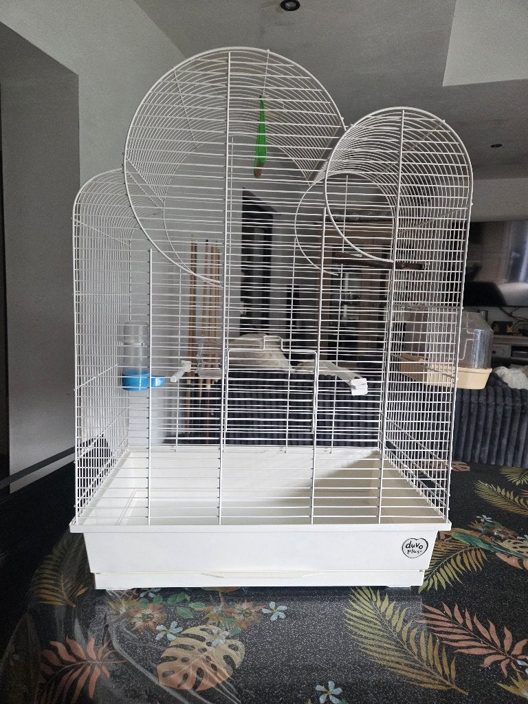 Grande Cage à oiseau, Animaux & Accessoires, Enlèvement, Comme neuf