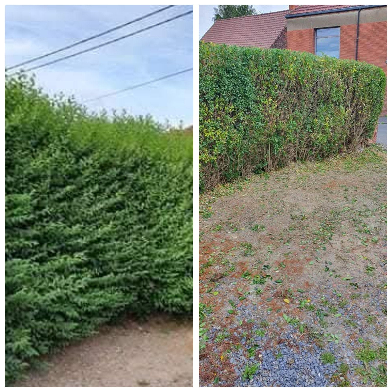 Jardin Propre / Entretien Extérieur (Tondeuse et Taille-haie, Ophalen, Haag