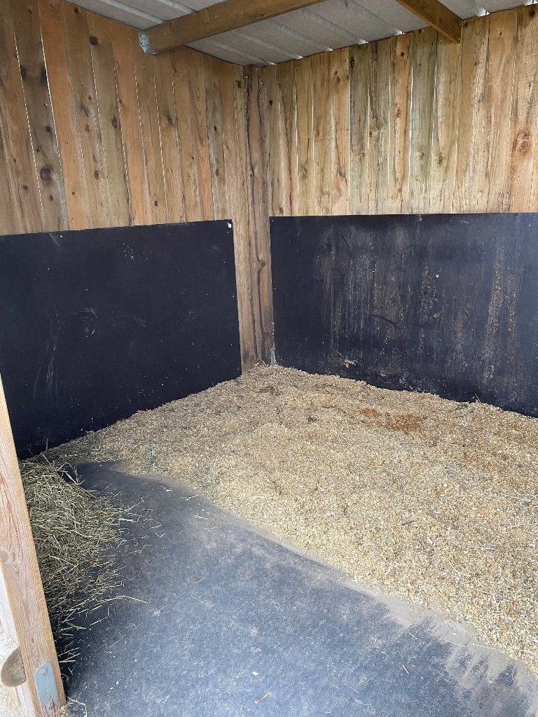 Pension pré/box chevaux – Proche Comines (Houthem) 7781, Animaux & Accessoires, Mise à l'étable, 1 cheval ou poney