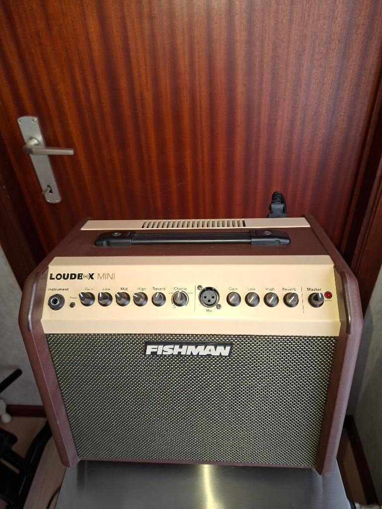 Fishman PRO-LBT-500 Loudbox Mini, Muziek en Instrumenten, Ophalen, Gebruikt, Gitaar