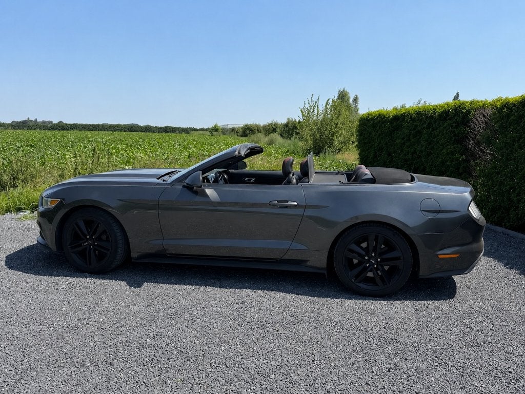 Ford Mustang 2.3 ECO boost, Autos, Cuir, Argent ou Gris, Euro 6, Cabriolet