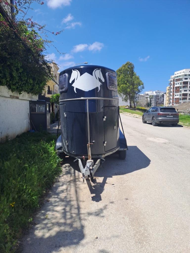 Remorque chevaux, Enlèvement, Utilisé, Polyester, Remorque 2 chevaux