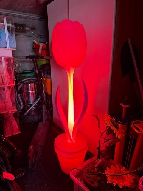 prachtige  led tulp decoratie, Enlèvement ou Envoi