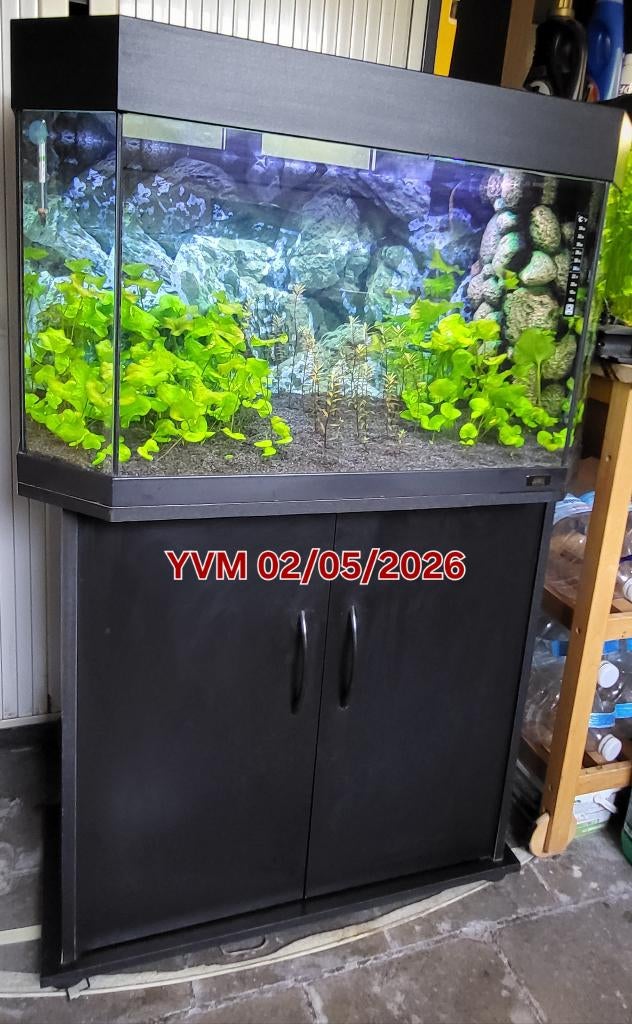 Zwarte Juwel Panorama 80 met Sb80P kast, Dieren en Toebehoren, Juwel, Ophalen, Inclusief deksel, Gevuld zoetwateraquarium
