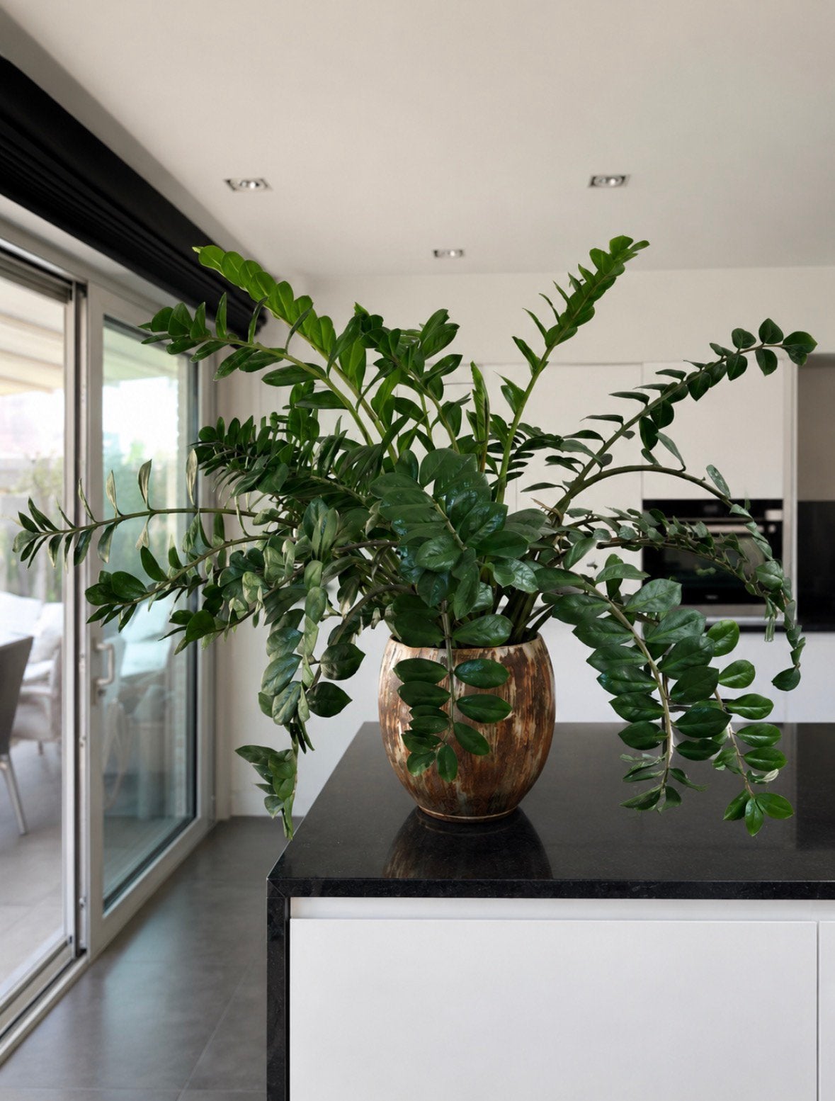 Pot en plant, Maison & Meubles, Plantes d'intérieur, Enlèvement