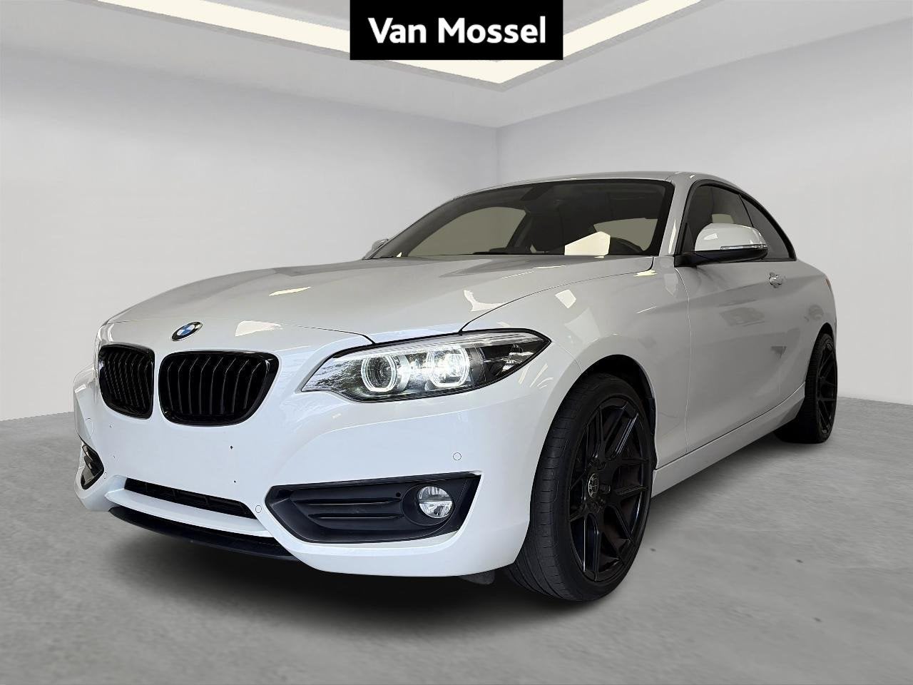 BMW 2 Reeks Coupé 218i (100kW), Autos, 100 kW, 680 kg, Entreprise, Boîte manuelle