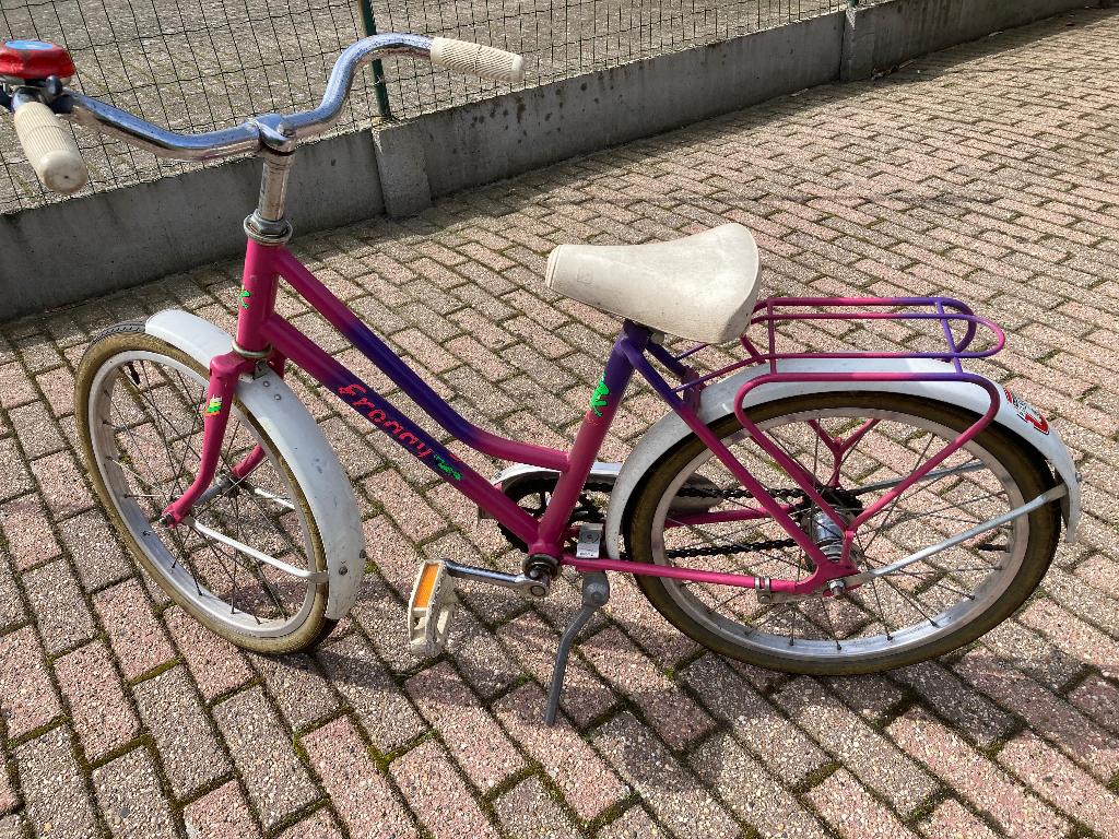 Kinderfiets 18inch, Fietsen en Brommers, Fietsen | Kinderfietsjes, Ophalen, Gebruikt, 16 tot 20 inch, Froggy
