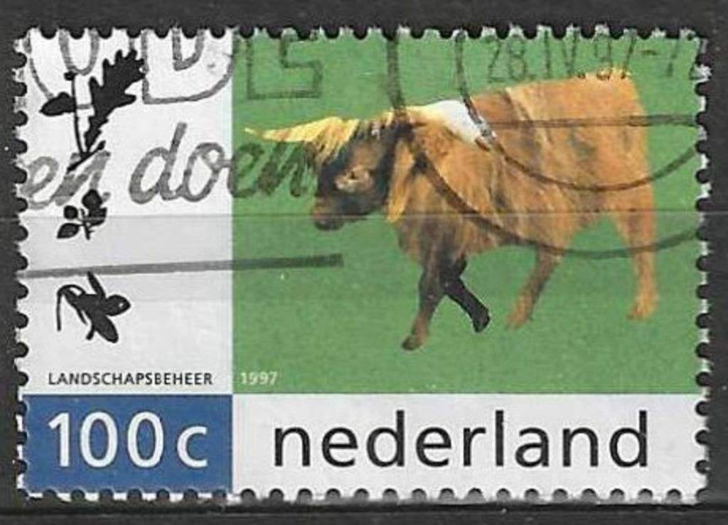 Pays-Bas 1997 - Yvert 1582 - The Scottish Highlander (ST), Timbres & Monnaies, Timbres | Pays-Bas, Envoi, Affranchi