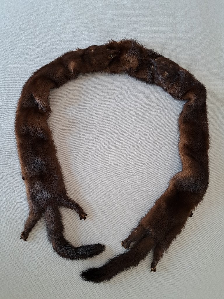 Nerts sjaal, Vêtements | Femmes, Bonnets, Écharpes & Gants, Enlèvement, Comme neuf, Écharpe