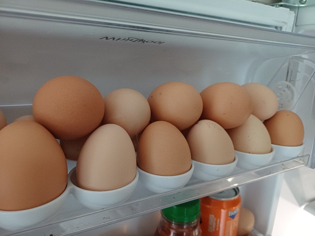 Vrije uitloopeieren , dagvers, Dieren en Toebehoren, Pluimvee, Overige soorten