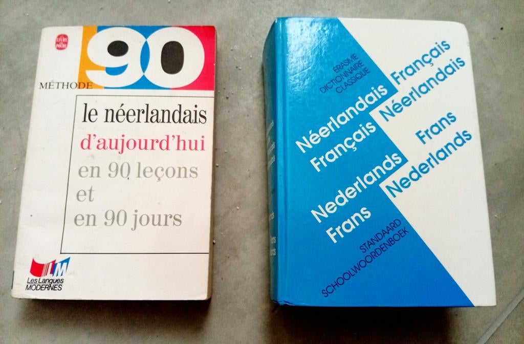 Deviens incollable en Néerlandais, Livres, Enlèvement ou Envoi, Comme neuf, Ne s'applique pas