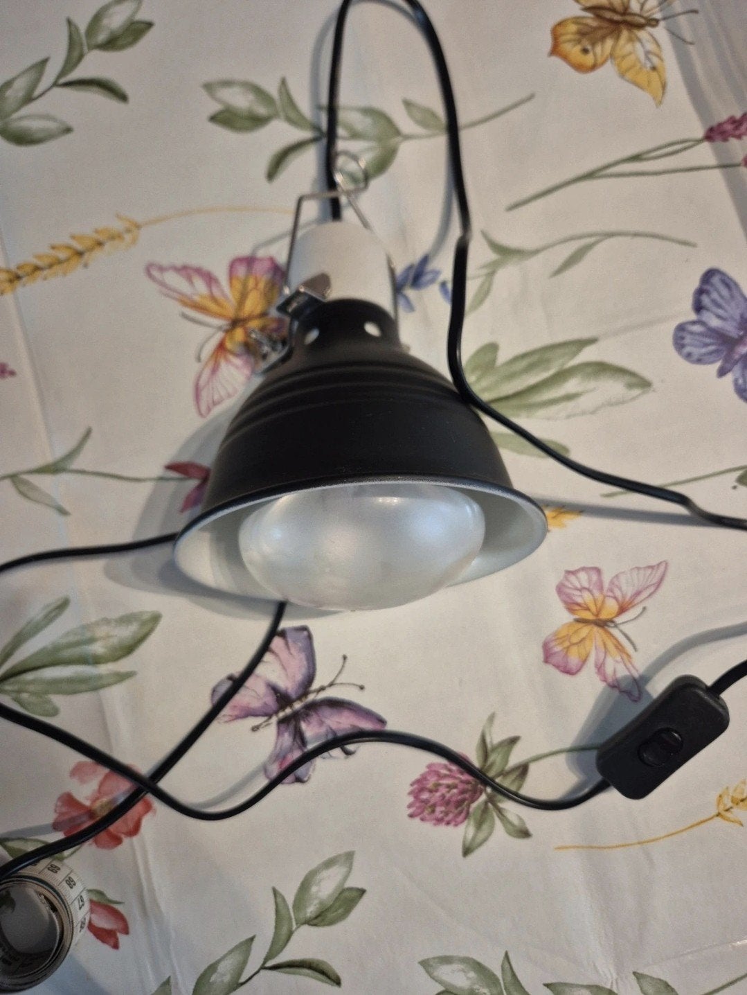warmte lamp, Dieren en Toebehoren, Ophalen of Verzenden, Gebruikt