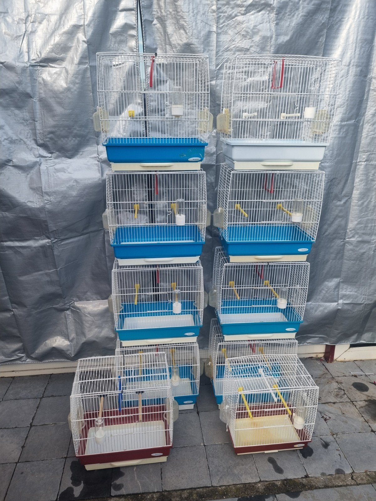 cages d oiseaux