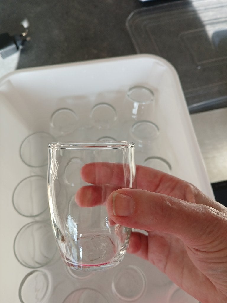 20 NIEUWE amuseglaasjes voor €8, Ophalen of Verzenden, Nieuw, Glas