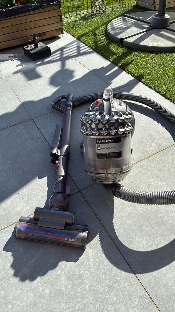 Dyson DC52 animal turbine, Enlèvement, Comme neuf, Aspirateur
