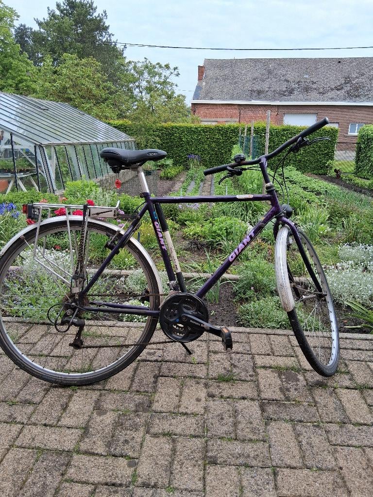 Herenfiets, Fietsen en Brommers, Ophalen, Gebruikt, Versnellingen, 49 tot 53 cm