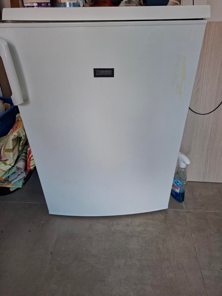 Tafelfrigo te koop, merk zanussi, Ophalen