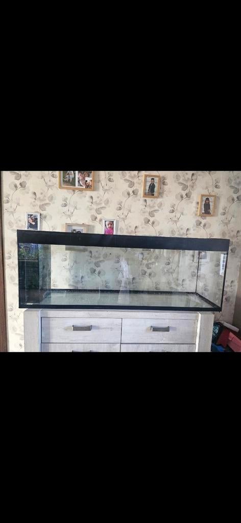 Aquarium 350l, Dieren en Toebehoren, Ophalen
