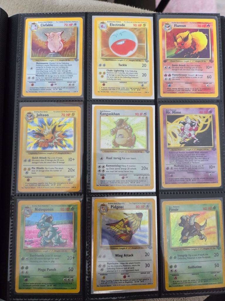 Coffret principal Jungle Pokemon, Hobby & Loisirs créatifs, Enlèvement